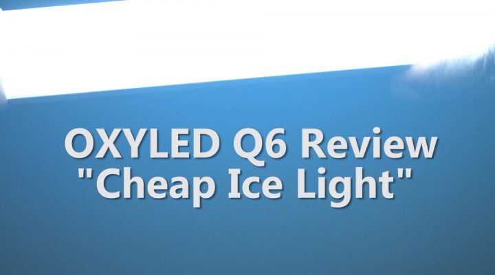 OXYLED Q6 – “Cheap Ice Light”
